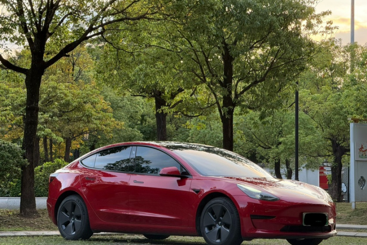 Tesla Model 3 2021 #5 Tesla Model 3 2021 car image #5