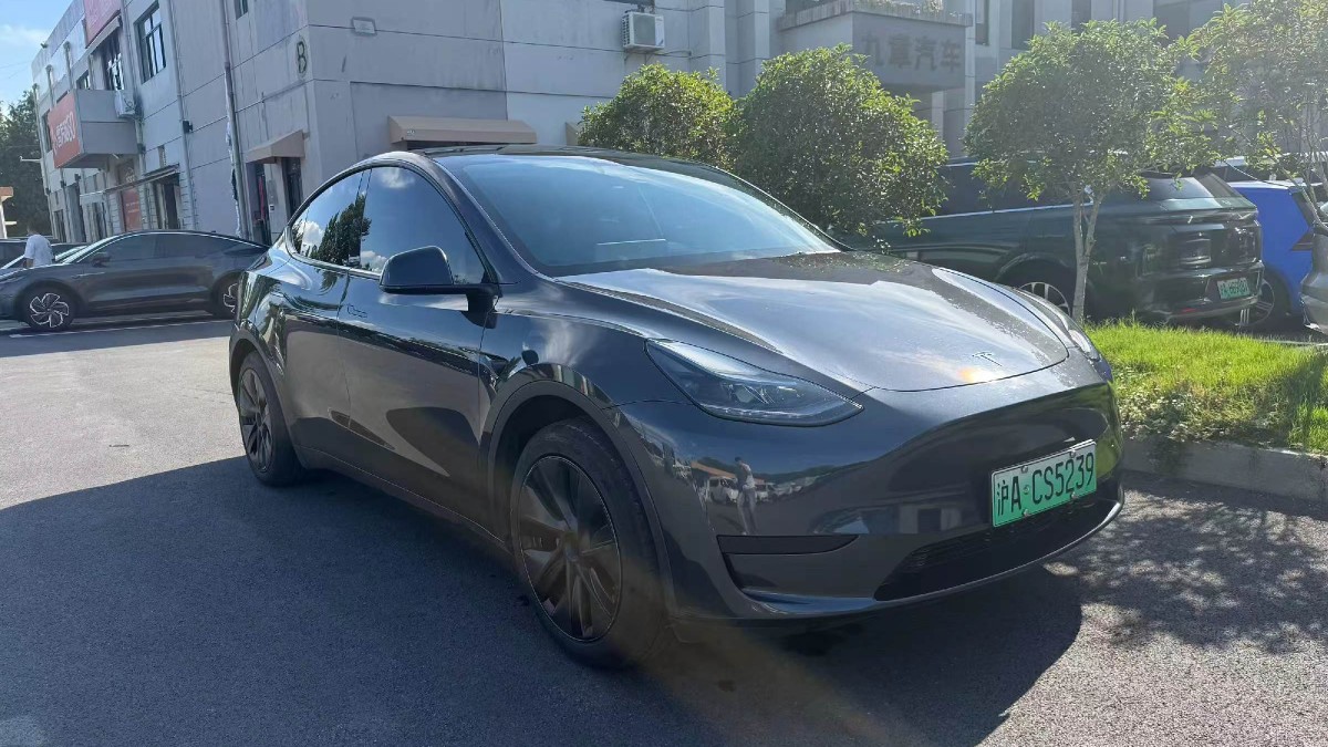 Tesla Model Y 2024 Tesla Model Y 2024 car image