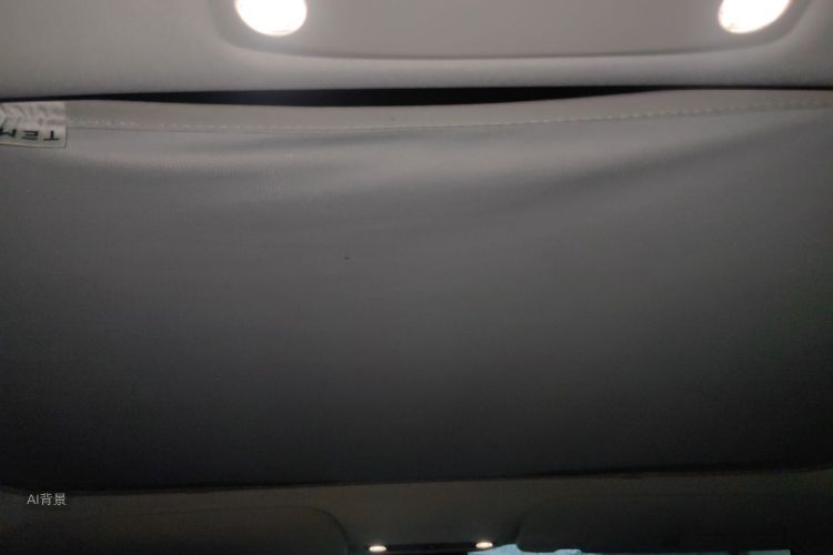Tesla Model 3 2021 car image #20