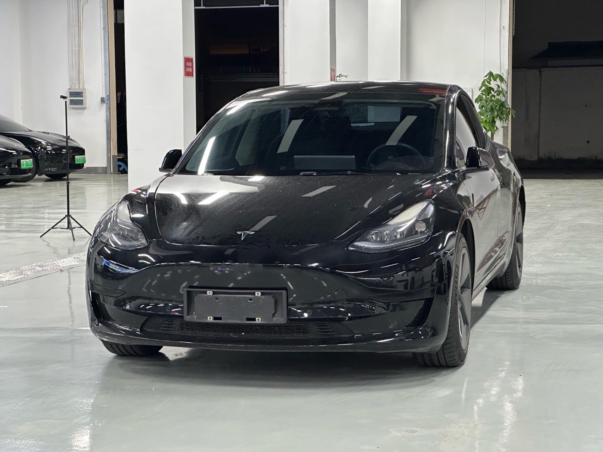 Tesla Model 3 2023 car image 