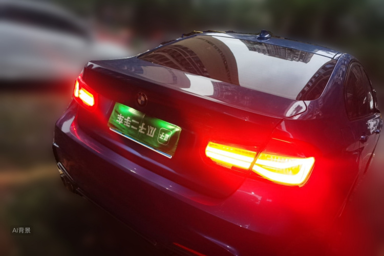 BMW 3 Series 2016 car image #6