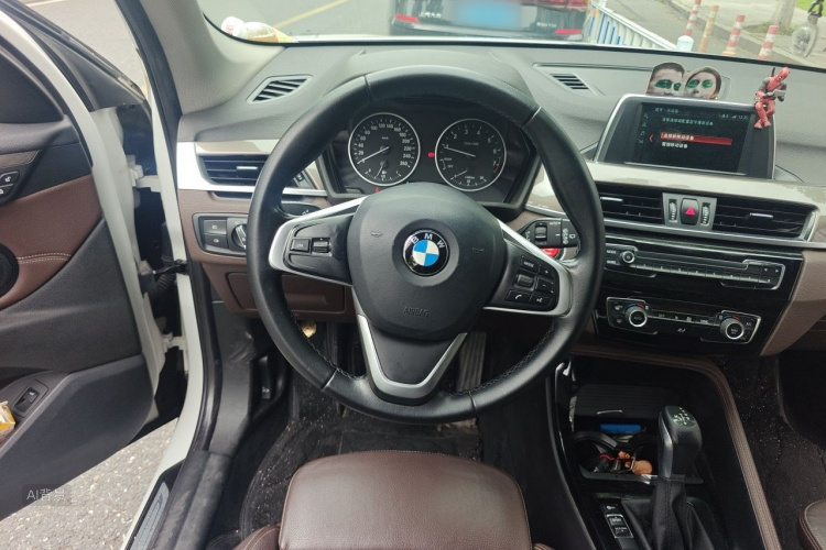 BMW X1 2017 car image #12