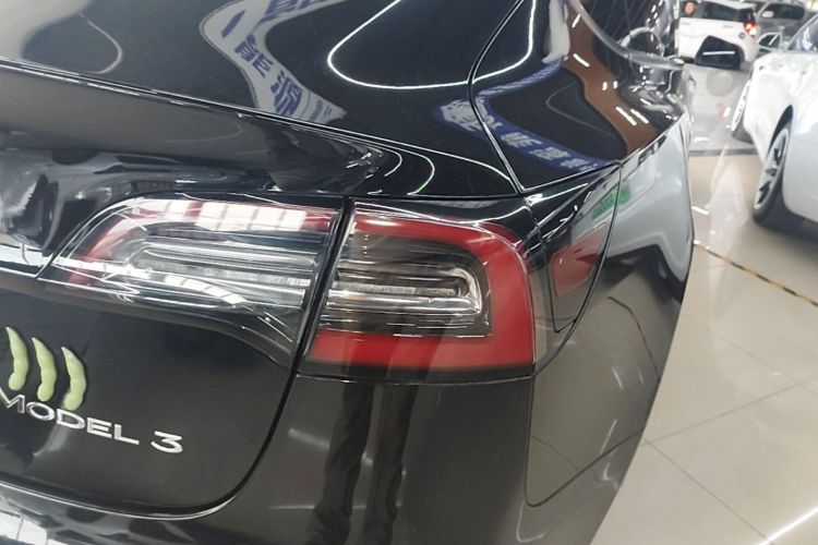 Tesla Model 3 2021 car image #8
