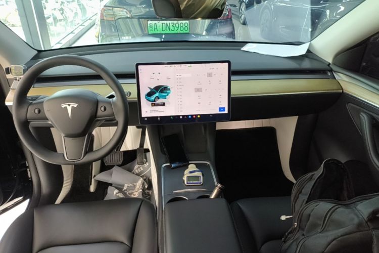 Tesla Model Y 2023 car image #10