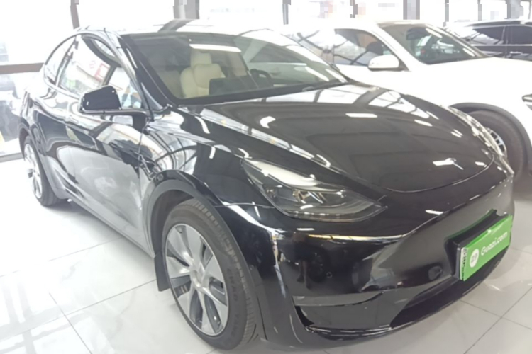 Tesla Model Y 2021 car image #4