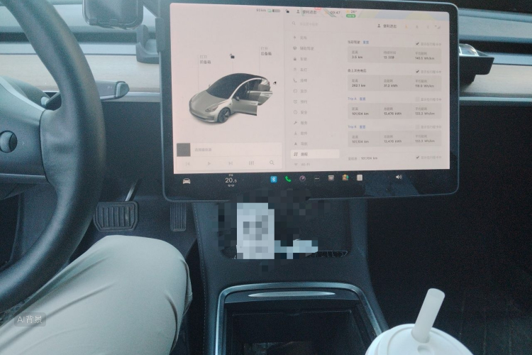 Tesla Model 3 2021 #15 Tesla Model 3 2021 car image #15