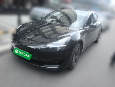 Tesla Model 3 2020 Tesla Model 3 2020 car image