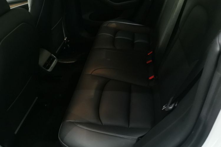 Tesla Model 3 2021 #17 Tesla Model 3 2021 car image #17