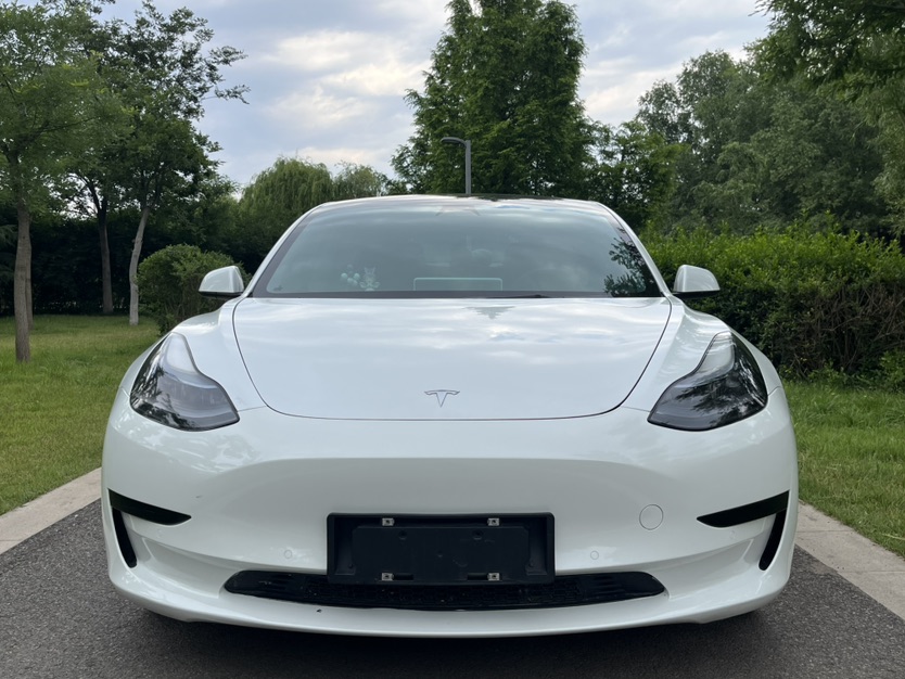 Tesla Model 3 2023 #2 Tesla Model 3 2023 car image #2