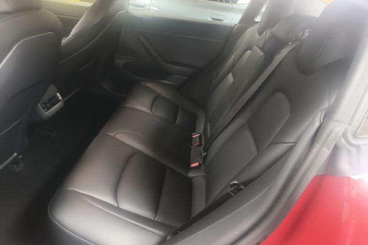 Tesla Model 3 2020 car image #13