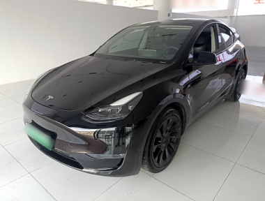 Tesla Model Y 2022 car image 