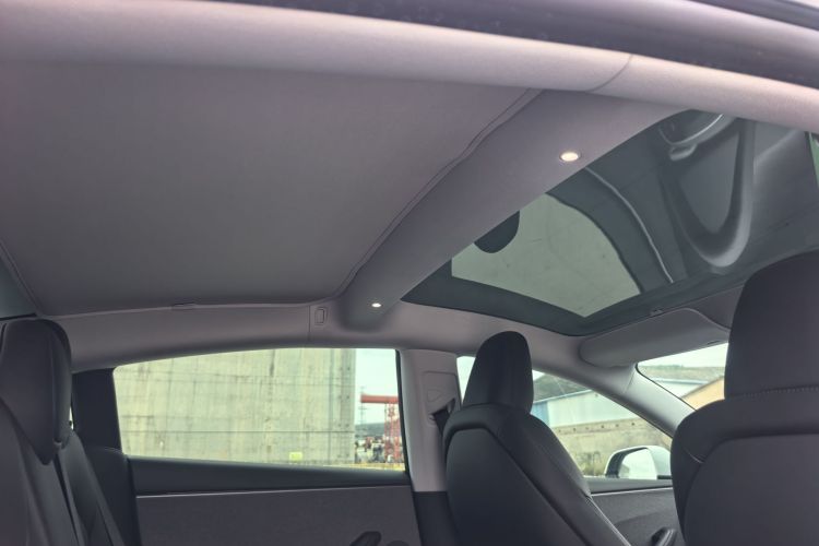 Tesla Model 3 2026 immagine di auto #17