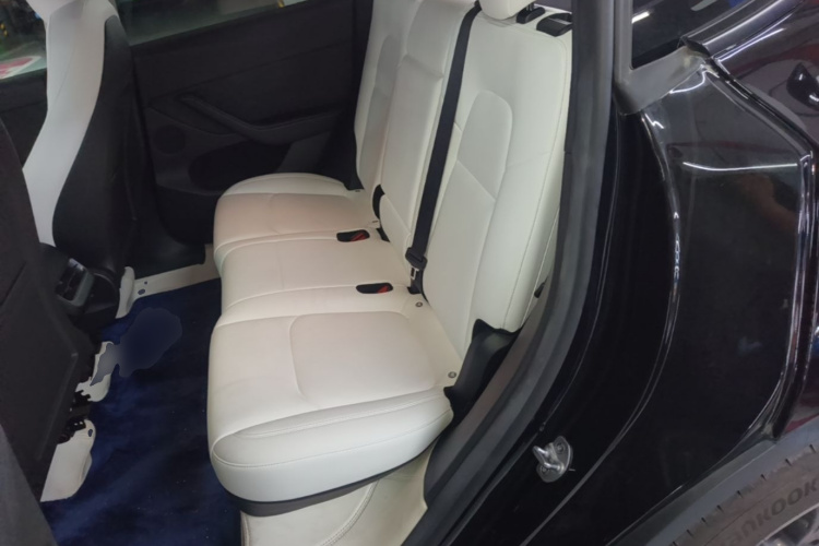 Tesla Model Y 2023 #17 Tesla Model Y 2023 car image #17