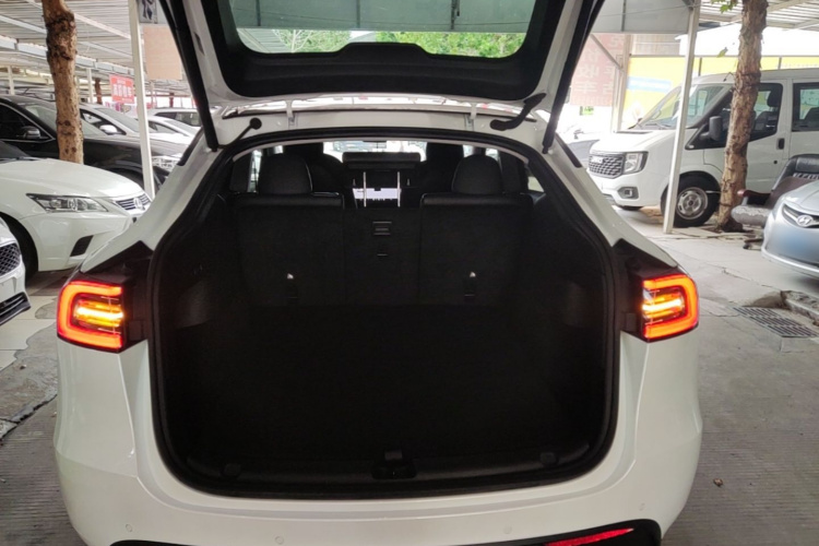 Tesla Model Y 2021 car image #19