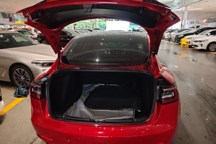 Tesla Model 3 2020 car image #19