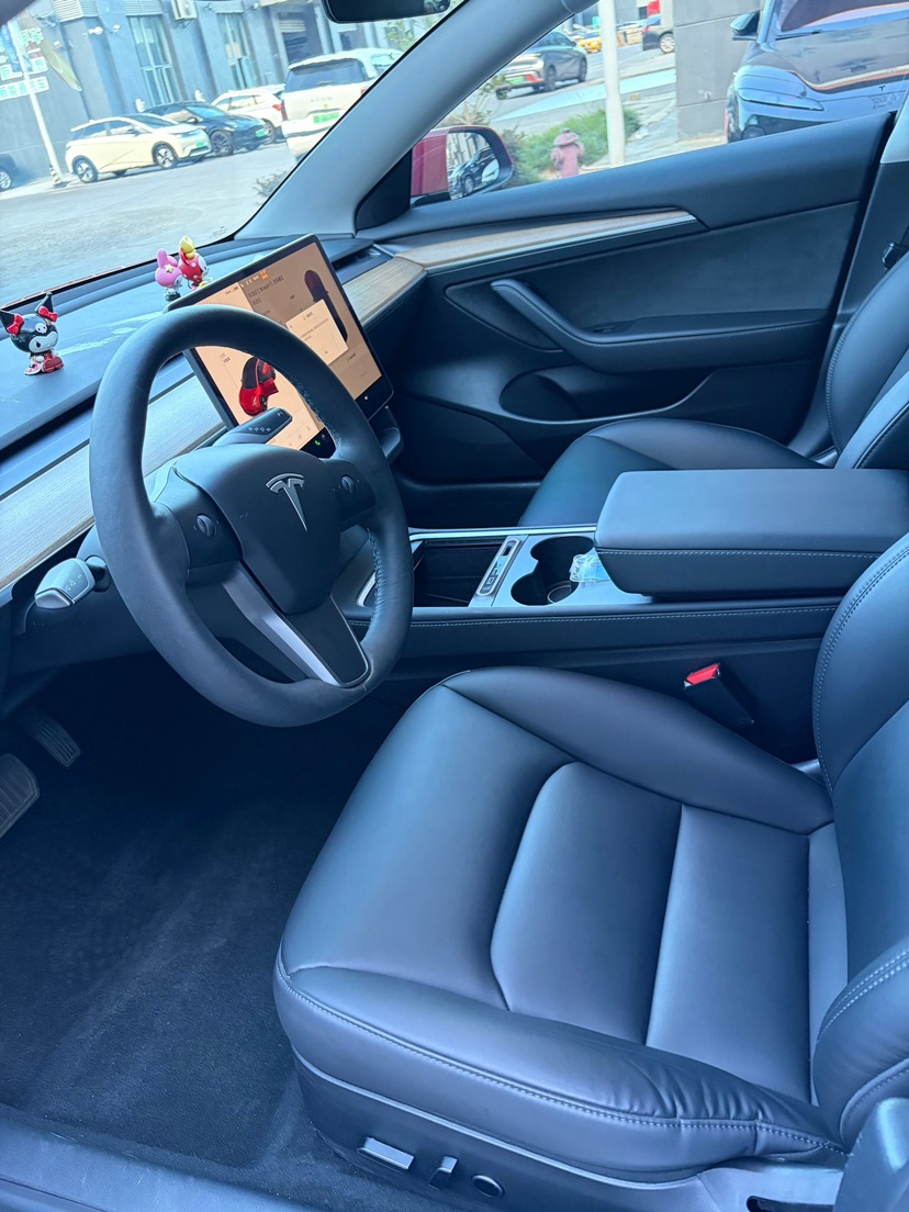 Tesla Model 3 2021 car image #7