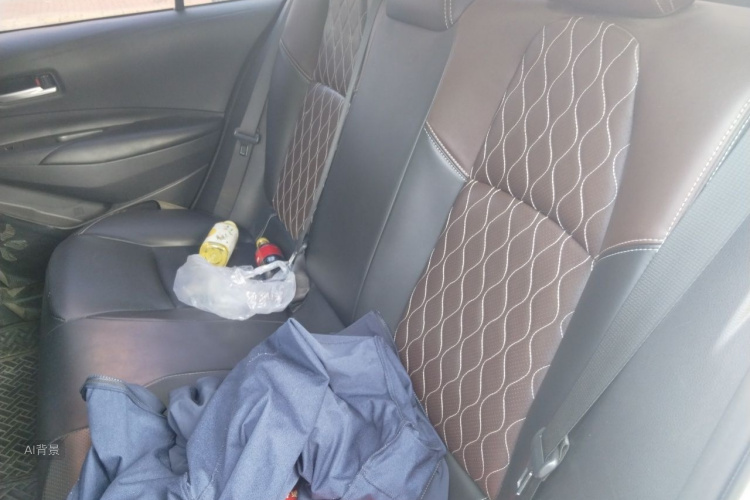 Toyota Corolla 2020 car image #19