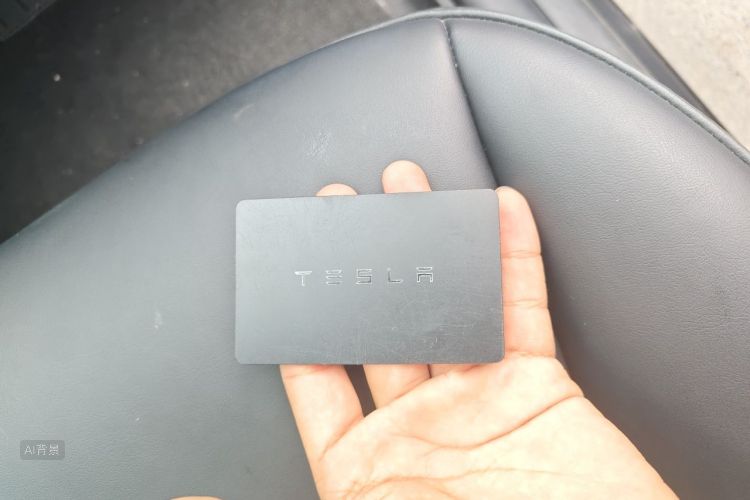 Tesla Model Y 2023 car image #10