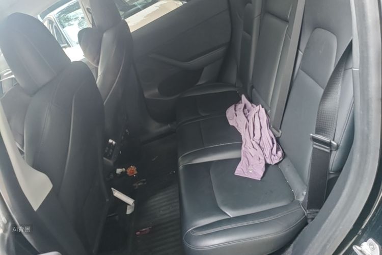 Tesla Model Y 2021 car image #19