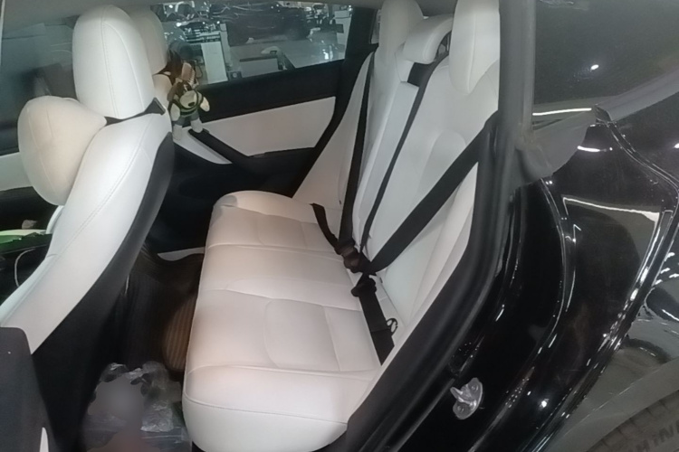 Tesla Model 3 2020 #13 Tesla Model 3 2020 car image #13