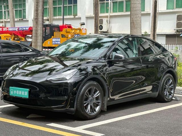 Tesla Model Y 2021 car image #15