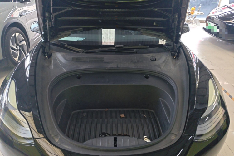 Tesla Model 3 2021 #20 Tesla Model 3 2021 car image #20