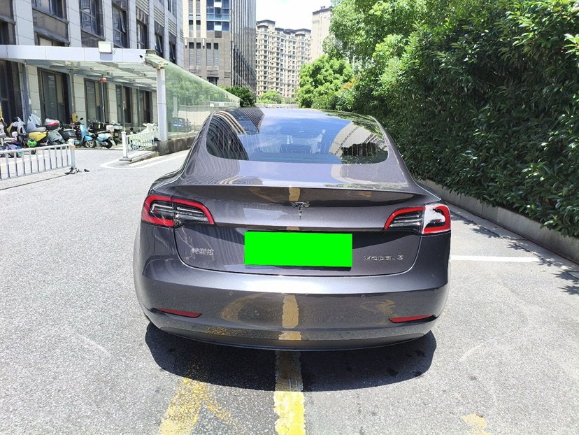 Tesla Model 3 2020 car image #5