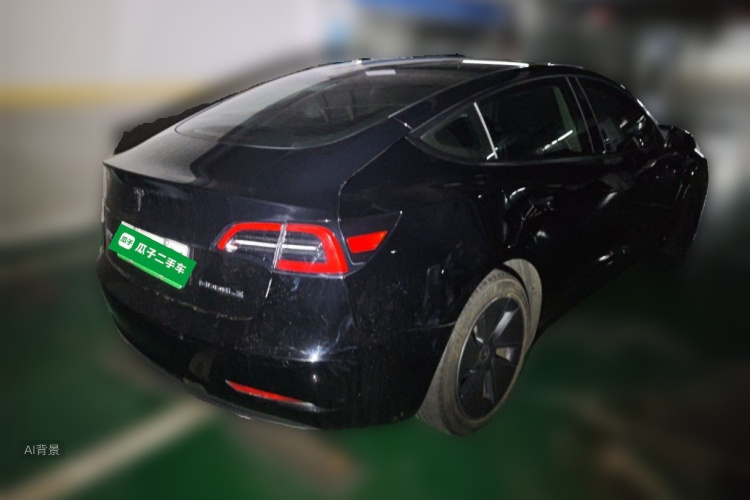 Tesla Model 3 2021 #7 Tesla Model 3 2021 car image #7