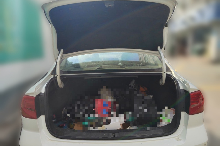 Volkswagen Bora 2016 car image #21