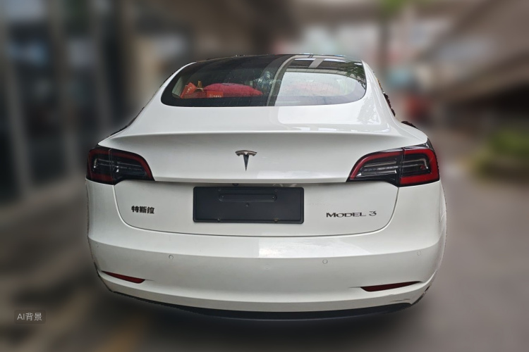 Tesla Model 3 2020 car image #6