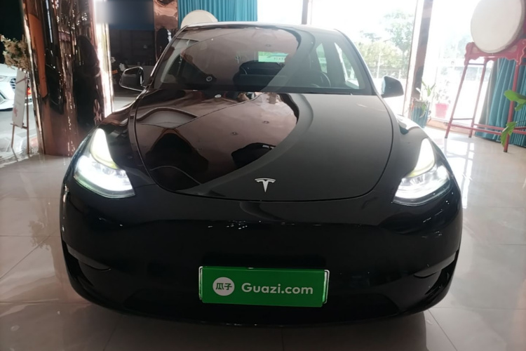 Tesla Model Y 2021 #3 Tesla Model Y 2021 car image #3
