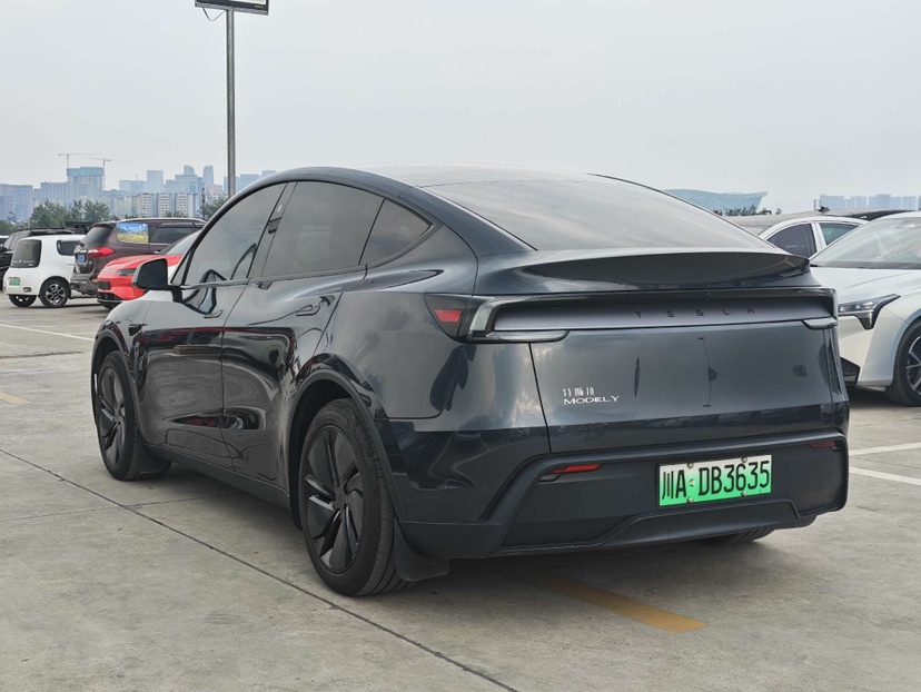 Tesla Model Y 2025 car image #7