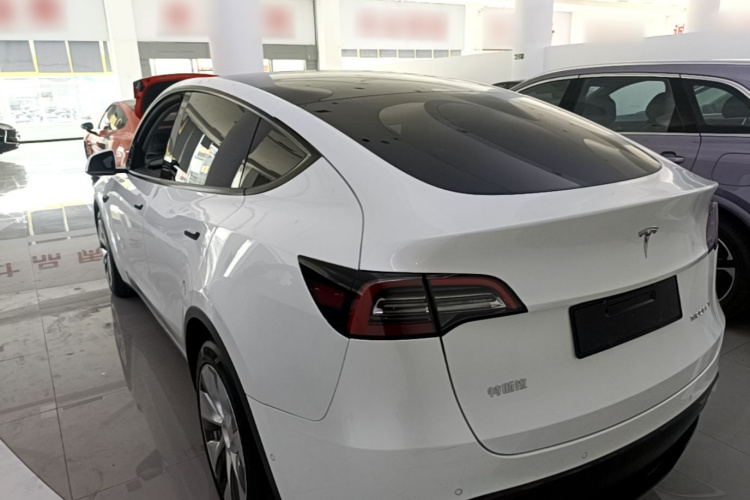 Tesla Model Y 2021 #5 Tesla Model Y 2021 car image #5