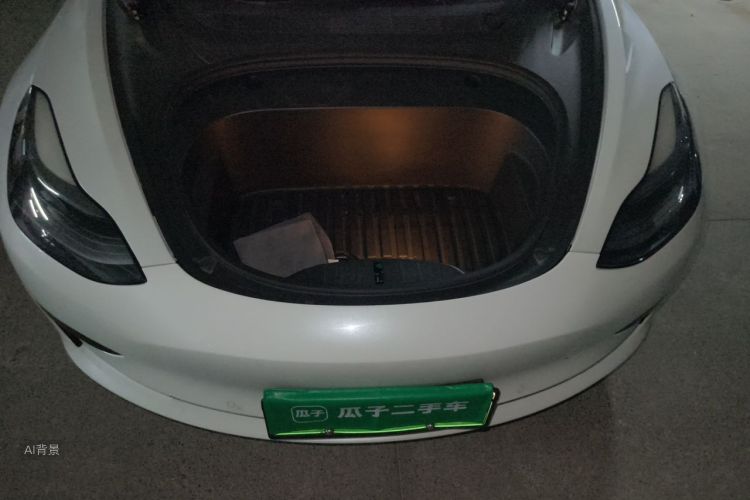 Tesla Model 3 2021 #22 Tesla Model 3 2021 car image #22