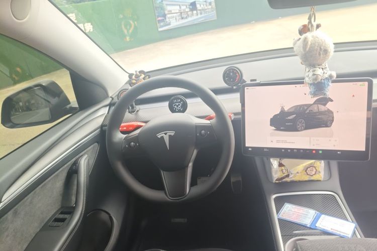 Tesla Model Y 2024 car image #15