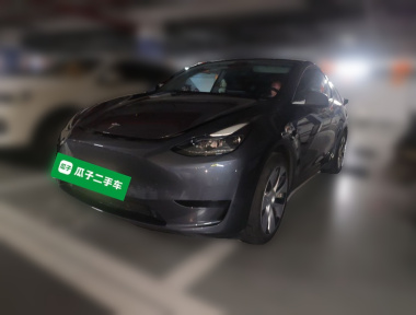 Tesla Model Y 2022 immagine di auto 
