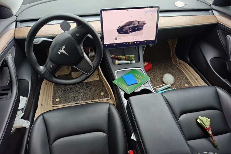 Tesla Model 3 2022 #7 Tesla Model 3 2022 car image #7