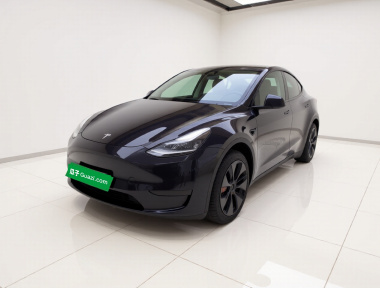 Tesla Model Y 2025 Tesla Model Y 2025 car image