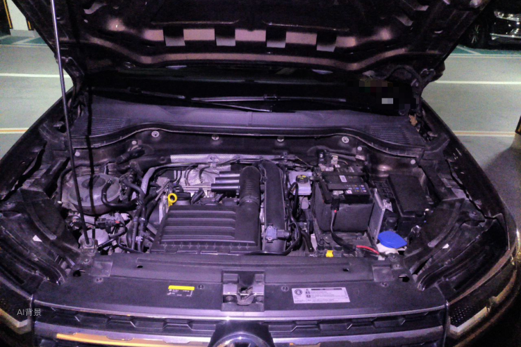 Volkswagen Tharu 2019 car image #22