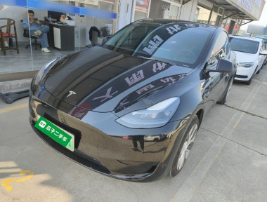 Tesla Model Y 2022 Tesla Model Y 2022 immagine di auto