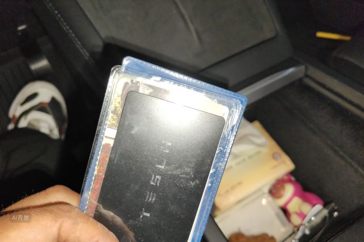 Tesla Model 3 2024 car image #10