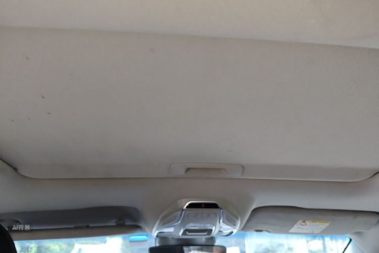 GEELY Binray 2019 imagem de carro #20