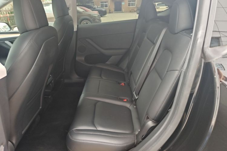 Tesla Model Y 2021 car image #13