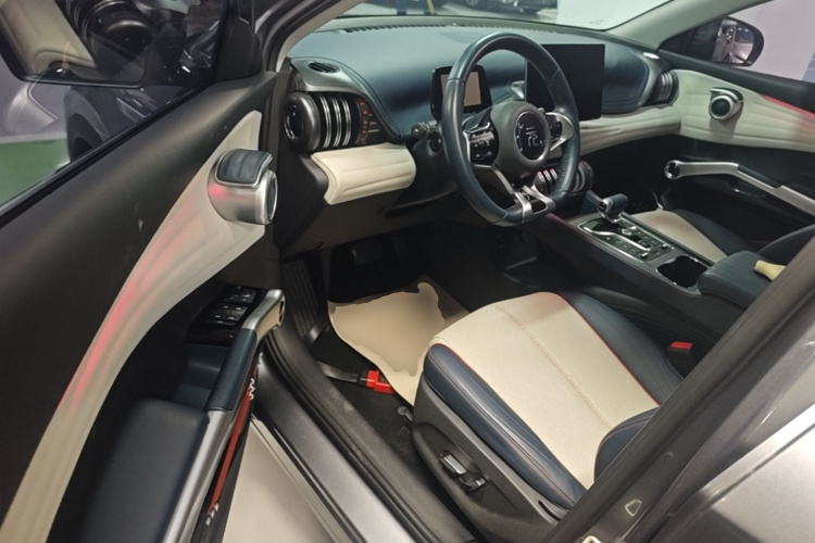 BYD Yuan Plus 2023 car image #12