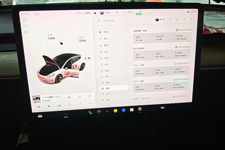Tesla Model 3 2021 immagine di auto #12