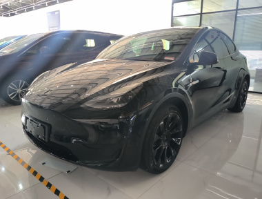 Tesla Model Y 2022 Tesla Model Y 2022 car image