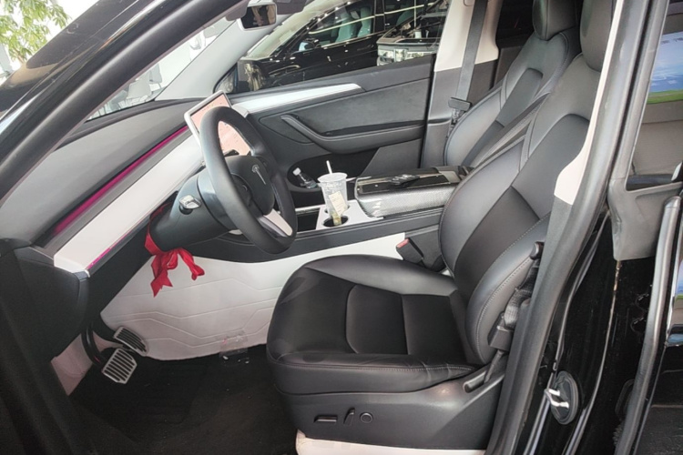 Tesla Model Y 2024 car image #15