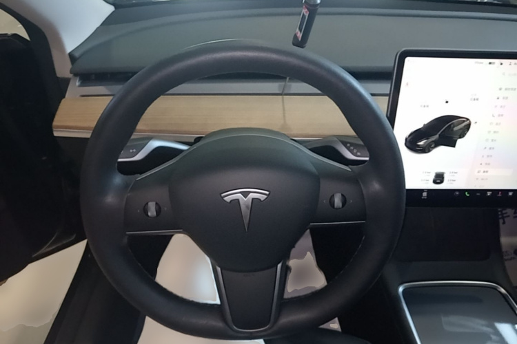 Tesla Model 3 2021 car image #11