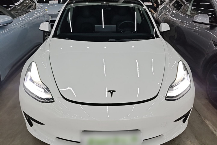Tesla Model 3 2020 #3 Tesla Model 3 2020 car image #3