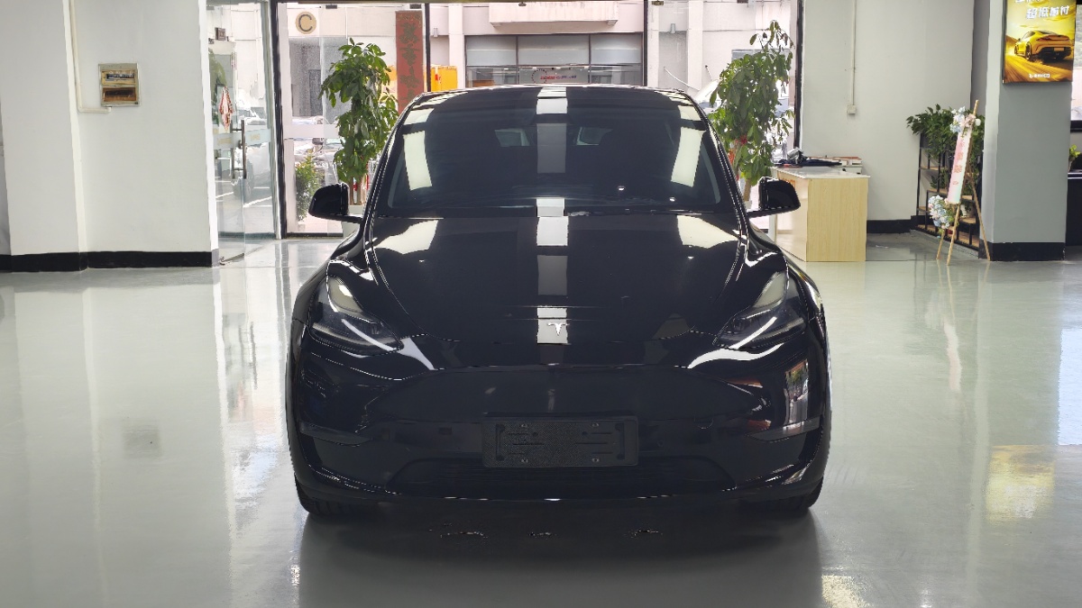 Tesla Model Y 2022 car image #2